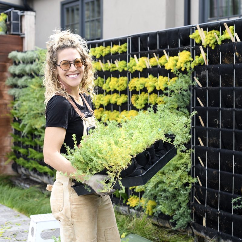 5 Outside-the-Box Ideas For Your Vegetable Garden